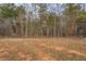 Wooded backyard featuring open space at 130 Bingley Ct, Covington, GA 30016