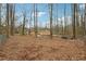 Wooded backyard with a large, flat area at 332 Stonecutters Cv, Stockbridge, GA 30281