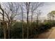 Wooded backyard view with a partial view of neighboring building and a chain link fence at 970 Sidney Marcus Ne Blvd # 2113, Atlanta, GA 30324