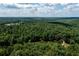 Aerial view showcasing a secluded pond surrounded by lush greenery at 4955 H D Atha Rd, Covington, GA 30014