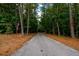 Long driveway leading to a house through woods at 4955 H D Atha Rd, Covington, GA 30014