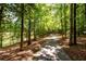Paved path meandering through lush trees near water at 4955 H D Atha Rd, Covington, GA 30014