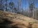 Backyard view showing the landscape on a small hill with lots of trees offering privacy from neighbors at 250 Shawnee Trl, Dallas, GA 30157