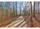 Driveway winding through a wooded area with leaf covered ground at 3452 Monica Sw Ln, Conyers, GA 30094