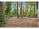Wooded backyard with plenty of trees and space at 2060 Westwood Ave, Atlanta, GA 30310