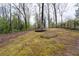 Expansive backyard with natural moss ground cover, surrounded by mature trees, offering privacy and tranquility at 2597 Elsinore St, East Point, GA 30344