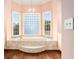 Bathroom with large soaking tub and corner windows at 159 Cedar Creek Rd, Cartersville, GA 30121