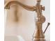 Close-up of elegant brushed gold faucet in a bathroom at 153 Palisade Dr, Rydal, GA 30171