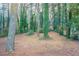 A tranquil backyard featuring mature trees providing ample shade at 2534 Ben Hill Rd, Atlanta, GA 30344