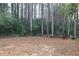 View of property's large backyard with mature trees and dense foliage in wooded area at 6540 Connell Rd, Atlanta, GA 30349