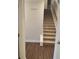 Carpeted staircase leading to the upper level at 4513 Eastbrook Pl, Snellville, GA 30039