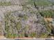 An aerial view showing the heavily wooded and private property at 490 Dorsey Road Rd, Hampton, GA 30228