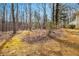 A view of the rear of the property showing its mature trees and landscaping at 490 Dorsey Road Rd, Hampton, GA 30228