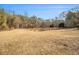 A wide open field is surrounded by mature trees at 490 Dorsey Road Rd, Hampton, GA 30228