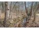 A creek runs through this heavily wooded property at 490 Dorsey Road Rd, Hampton, GA 30228