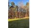 Scenic view of the backyard featuring colorful trees in the background at 2180 Highridge Point Dr, Lithia Springs, GA 30122
