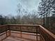Wet deck overlooking a wooded area at 2368 Misty Ivy Ct, Buford, GA 30519