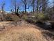 Yard with shed and trees at 7480 Ambassador Dr, Riverdale, GA 30296