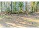 Wooded backyard view showcasing the natural landscape, including mature trees at 2720 Santa Barbara Nw Dr, Atlanta, GA 30318