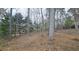 Wooded backyard with chain link fence and sloped terrain at 1050 Wiley Bridge Rd, Woodstock, GA 30188