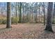 Beautiful shot of the property backing to the peaceful woods at 3667 Humphries Hill Rd, Austell, GA 30106