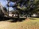 Large backyard with mature trees and grassy area at 6030 Danbury Court, Morrow, GA 30260