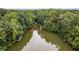 Aerial view of a serene lake surrounded by lush green trees in the neighborhood at 212 Teepee Trl, Whitesburg, GA 30185
