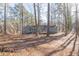 View of house from the backyard, surrounded by trees at 215 Silver Creek Ln, Stockbridge, GA 30281