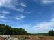 Discover a new home at Suwanee Preserves with convenient access to city water, sewer, and natural gas at 3560 Sky Ln, Cumming, GA 30041