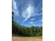 Scenic, level homesite in Suwanee Preserves, offering the perfect blend of nature and convenience in a tranquil setting at 3560 Sky Ln, Cumming, GA 30041