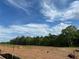 Scenic, level homesite in Suwanee Preserves, offering the perfect blend of nature and convenience in a tranquil setting at 3560 Sky Ln, Cumming, GA 30041
