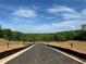 Road view of lots ready for building your dream home with nature in a beautiful neighborhood at 3560 Sky Ln, Cumming, GA 30041