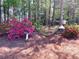 Landscaped yard featuring colorful azaleas, bird bath, bird feeders, and mature trees at 517 Mary Margaret Walk, Loganville, GA 30052