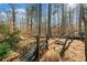 Backyard showing a bridge feature in the yard surrounded by lush greenery at 1545 Camden Cove Dr, Cumming, GA 30040