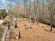 A well-maintained backyard with a firepit, seating and manicured landscape surrounded by trees at 1545 Camden Cove Dr, Cumming, GA 30040