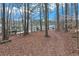 Wooded back lot leading to private boat docks on Lake Wylie at 8535 Lynn Dr, Cumming, GA 30041