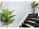 Staircase with black treads, carpet inlays, white risers, and live plants at 1114 Ivey Chase Pl, Dacula, GA 30019