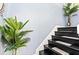 Staircase with black risers and grey carpeting at 1114 Ivey Chase Pl, Dacula, GA 30019