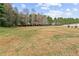 Spacious backyard with a lush green lawn, mature trees, and clear blue skies at 5515 Hancock Ln, Cumming, GA 30041