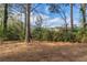 View of the backyard area with the trees and brush in the background at 3881 Bonnie Se Ln, Atlanta, GA 30354