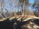 Fenced backyard with mature trees and grassy area at 5112 Central Church Rd, Douglasville, GA 30135