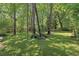 Expansive backyard with mature trees, creating a private and serene outdoor space at 959 Cedar Falls Sw Ct, Lilburn, GA 30047