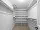 A walk in closet with built-in shelving and neutral carpeting at 3521 Southern Bay Ct, Snellville, GA 30039