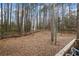 Wooded backyard with a privacy fence at 7037 Shangrila Trl, Riverdale, GA 30296