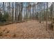 Wooded backyard with a mostly flat yard at 7037 Shangrila Trl, Riverdale, GA 30296