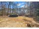 Large, partially wooded backyard with a grass and leaf ground covering at 3377 Fielders Pt, Dacula, GA 30019