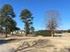Landscaped golf course with trees and pond at 179 Waterstone Pt, Acworth, GA 30101