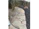 Backyard stone pathway and dog in mulch with wooden fence at 5450 Taylor Rd, Johns Creek, GA 30022