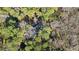 Aerial view shows the property's home surrounded by lush trees, offering tranquility and secluded living at 550 S Rays Rd, Stone Mountain, GA 30083
