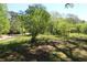 Lush landscape with a path through a verdant area featuring a variety of trees and foliage at 2697 Bethel Ne Rd, Conyers, GA 30012